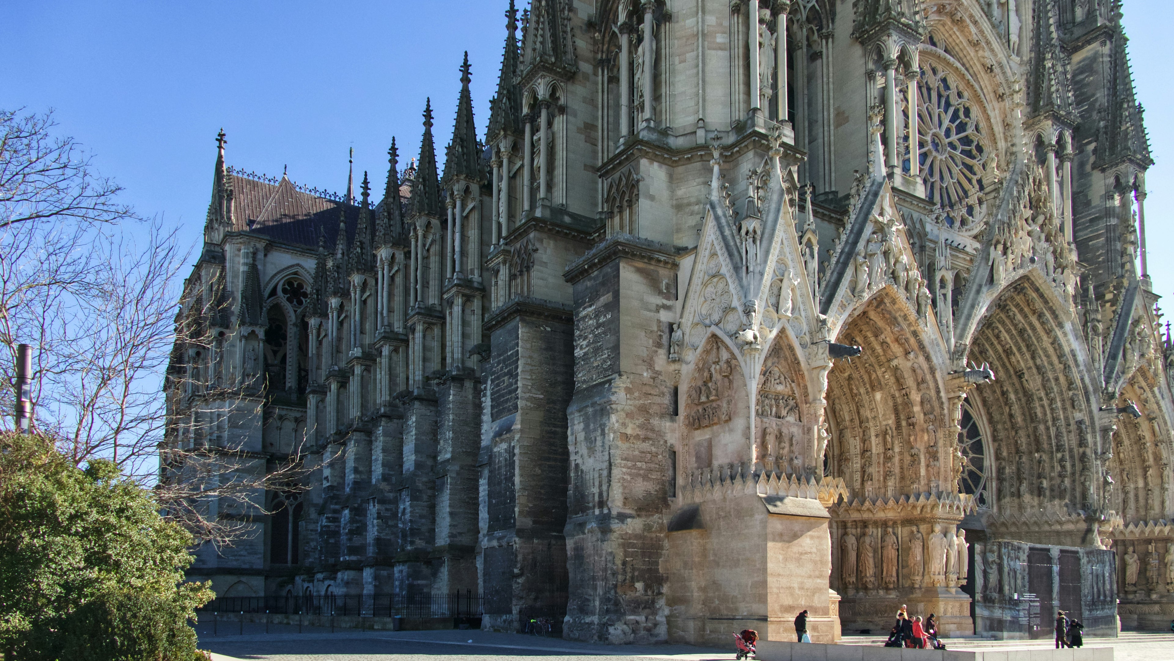 Sacré Coup de Patte, c'est la contraction de deux idées : d'abord parce que notre corps de métier est de vous donner un coup de main lorsque vous ne pouvez pas vous occuper de vos compagnons. Ensuite parce que Reims, la ville des Sacres, est au cœur de notre périmètre d'activité !