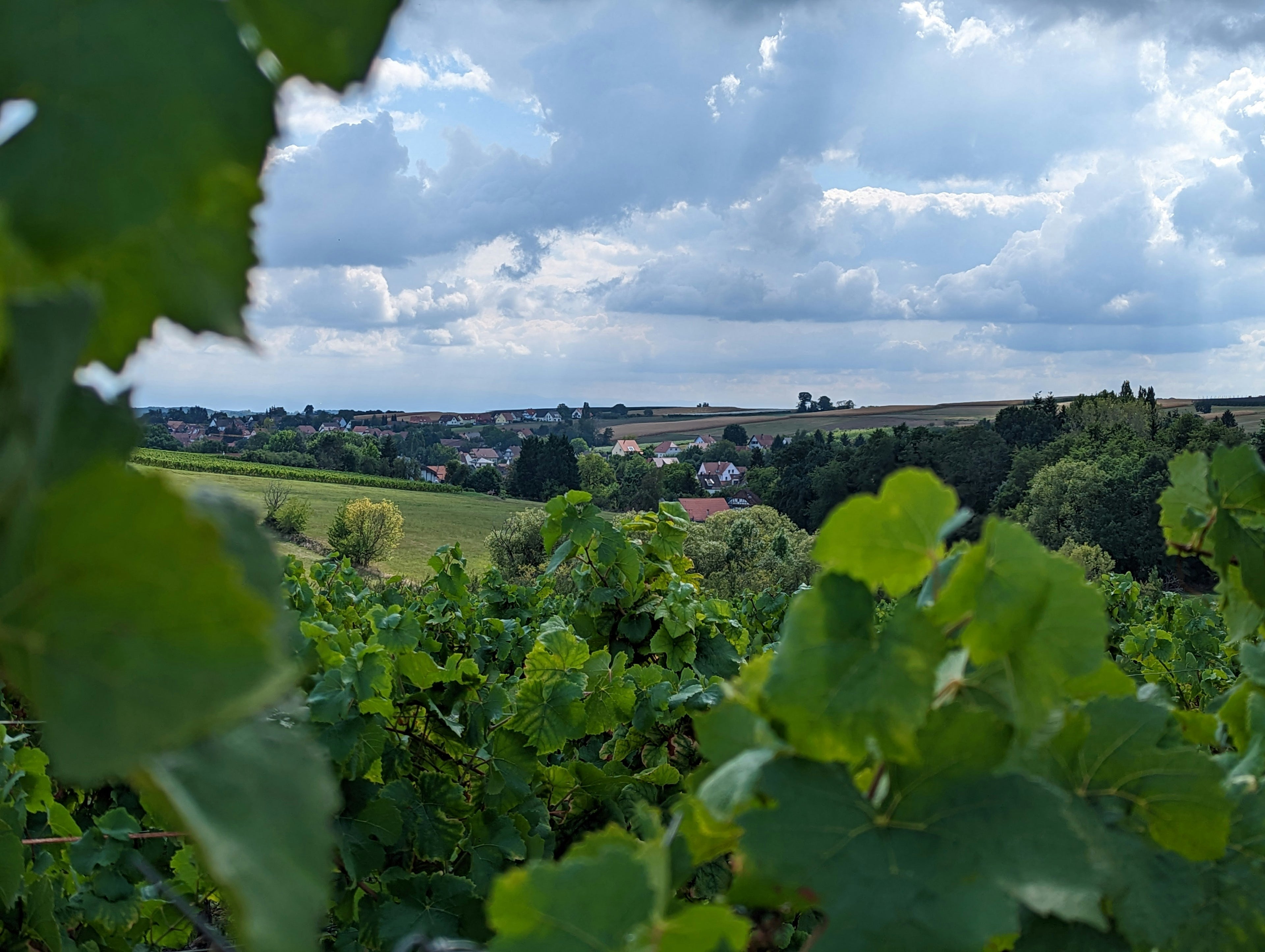 Pour vous apporter une solution de garde en toute sérénité lors de vos absences, nous intervenons à Reims et ses alentours. Que ce soit du côté de Jonchery-sur-Vesle, d'Hermonville ou encore de Cormontreuil, nous nous rendons disponibles facilement. N'hésitez pas à nous contacter !